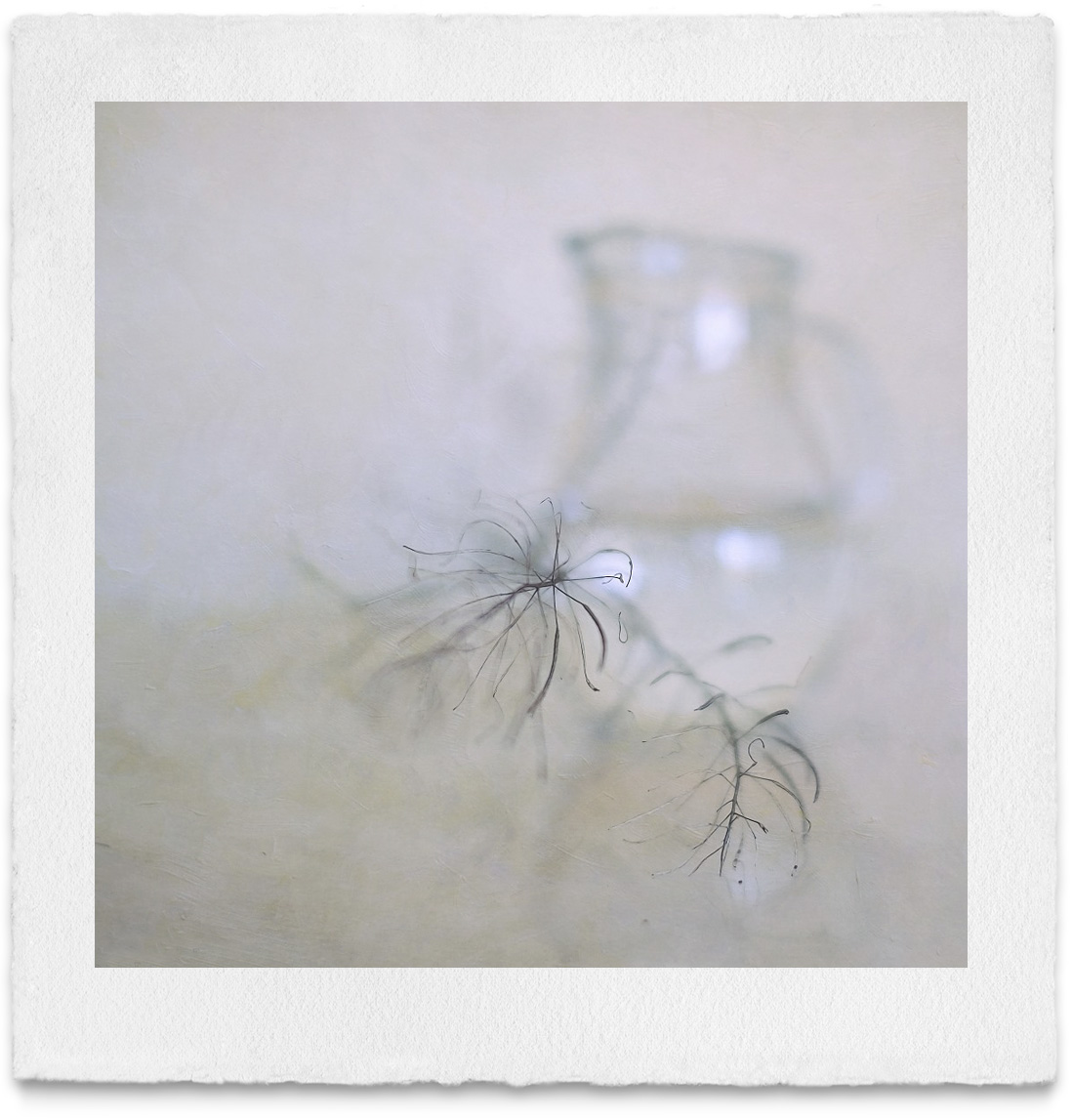 © Morgaine La-Fay