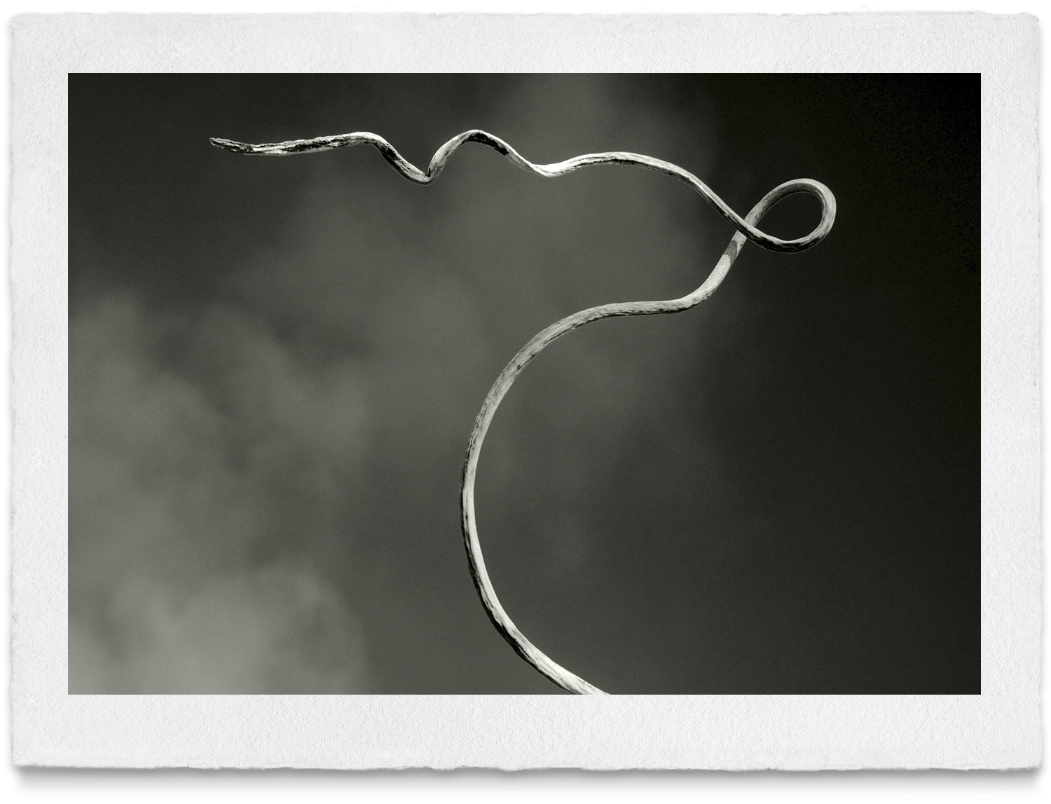 © Timo Beckwith