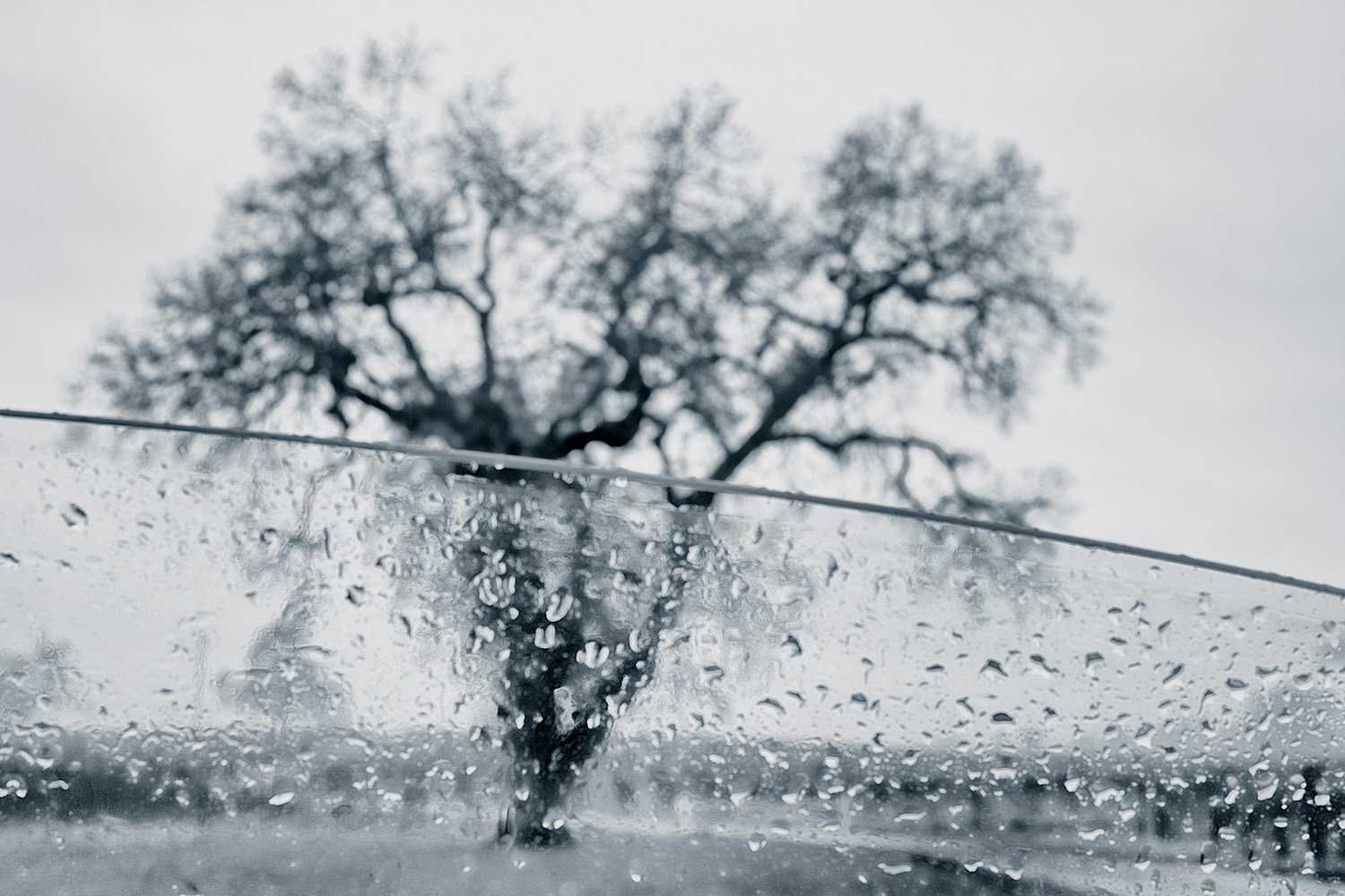 © Mark Wegner