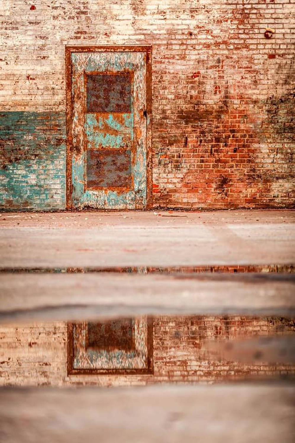 © Tammy Walla