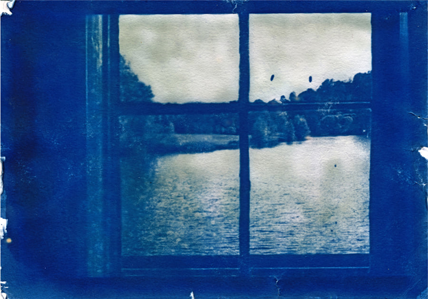 © Tom Dunne