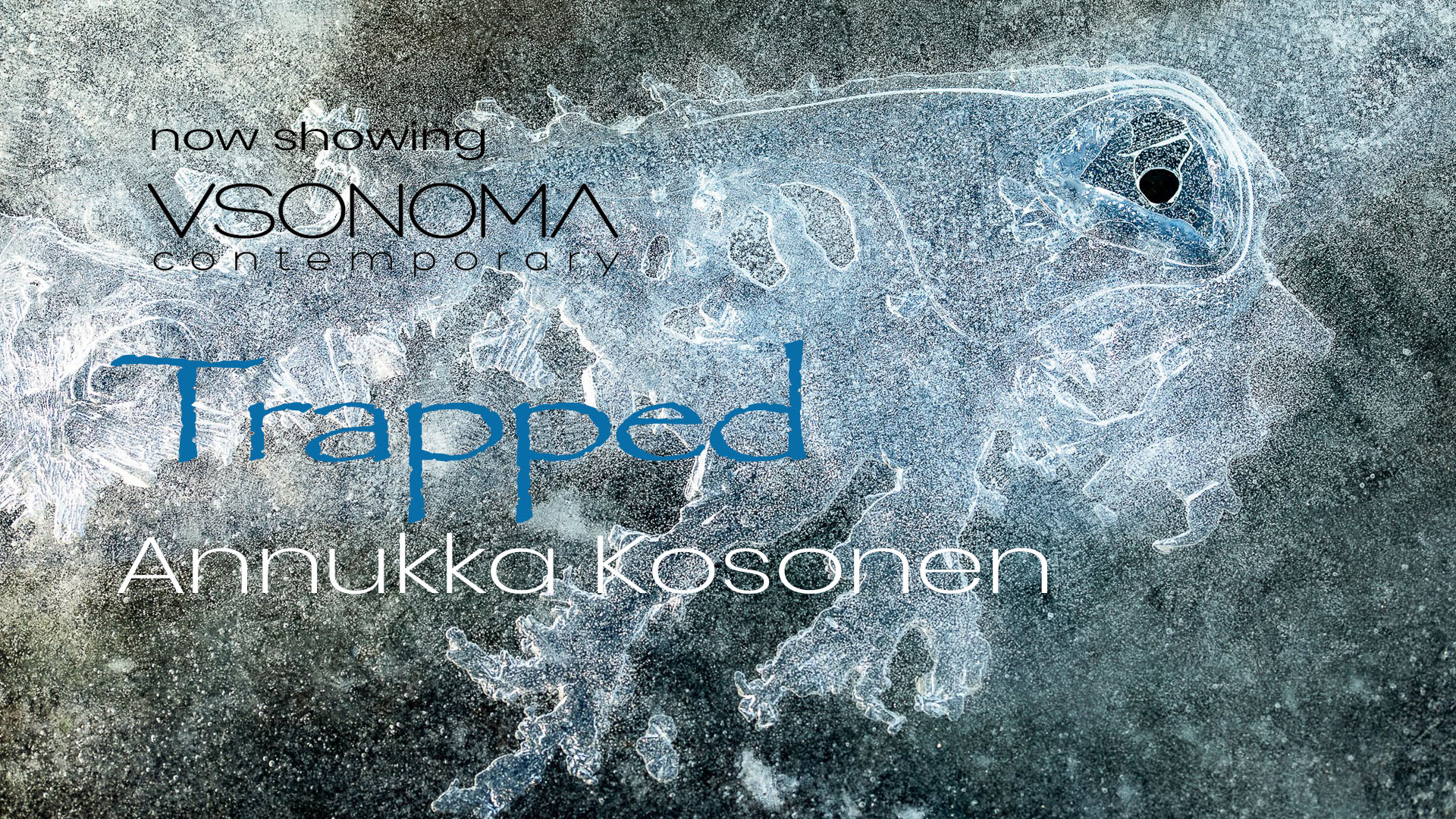 ©VSONOMA Contemporary - www.vsonoma.com