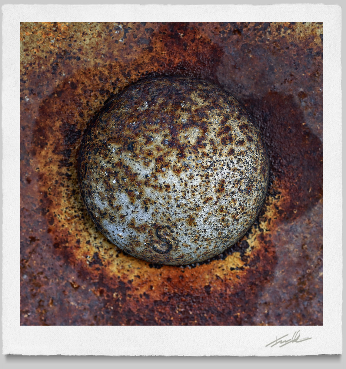 © Terrance Hounsell Photography