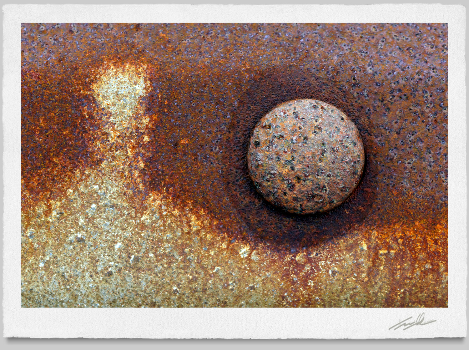 © Terrance Hounsell Photography