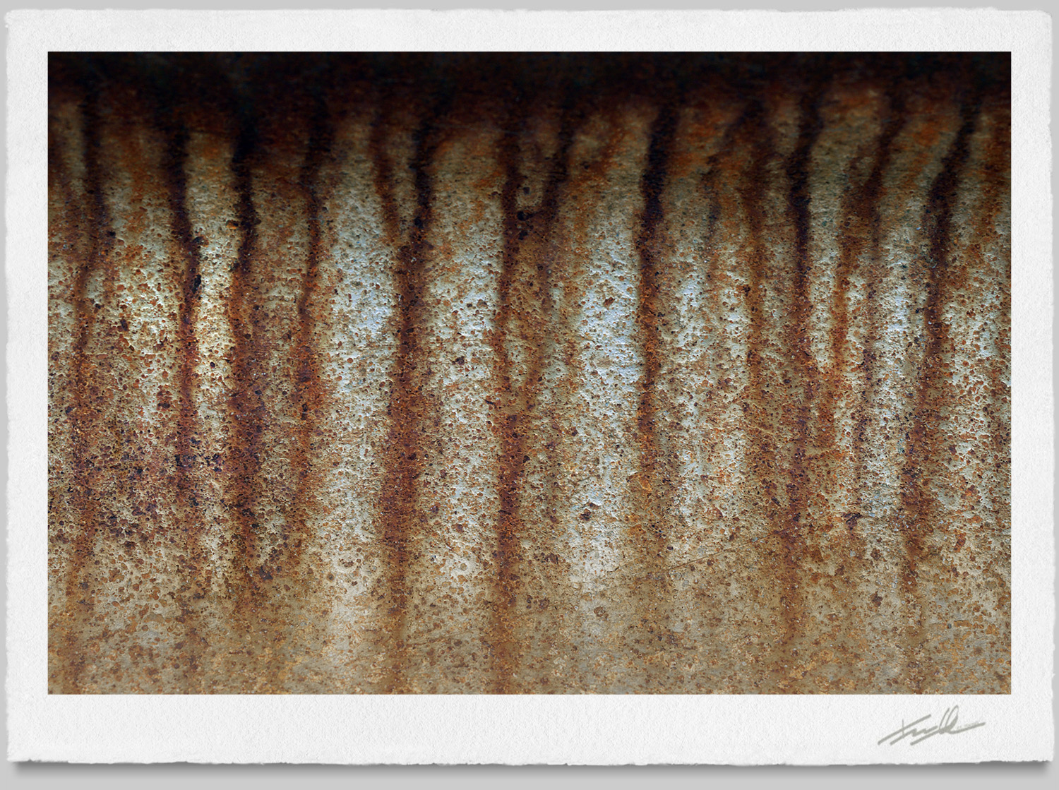 © Terrance Hounsell Photography
