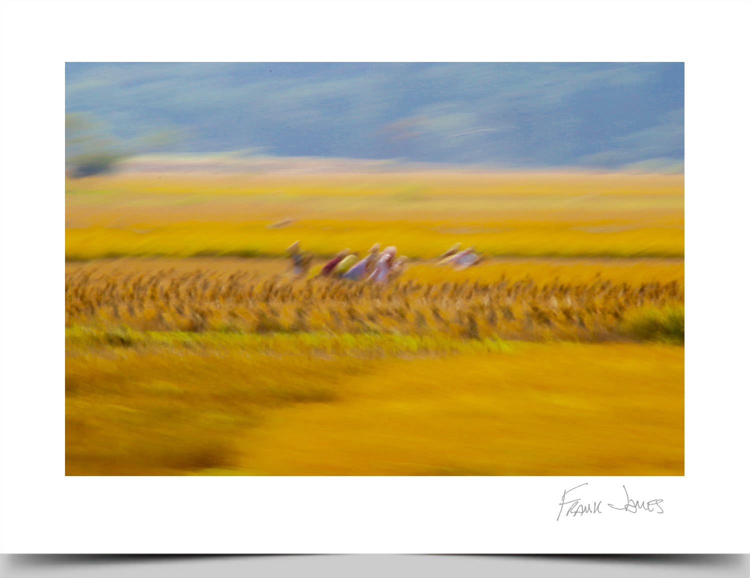 © Frank James Photography