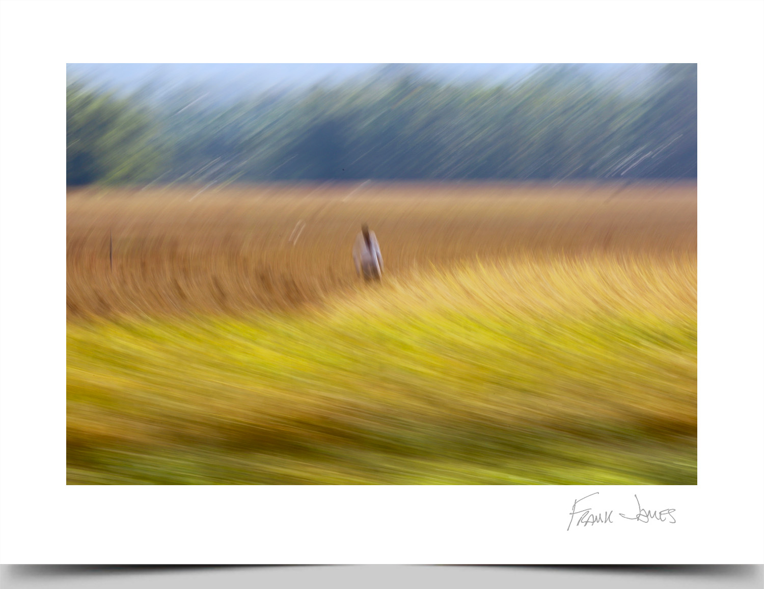 © Frank James Photography