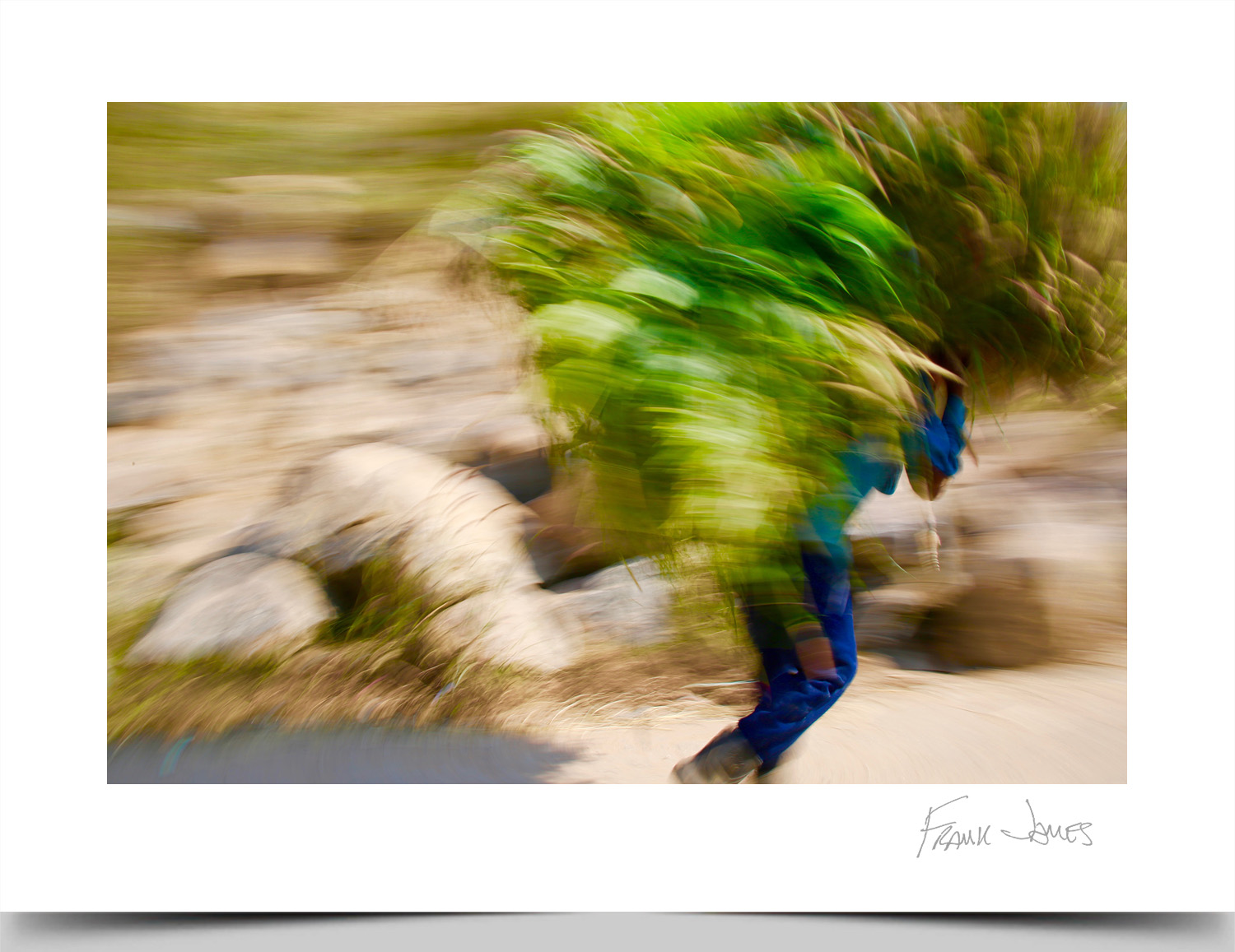 © Frank James Photography