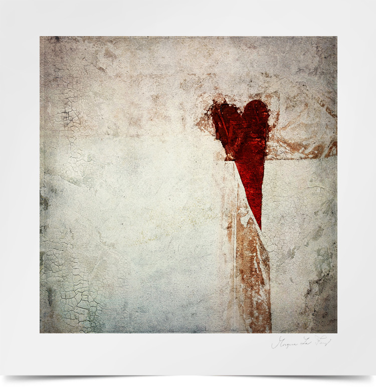 © Morgaine La Fay