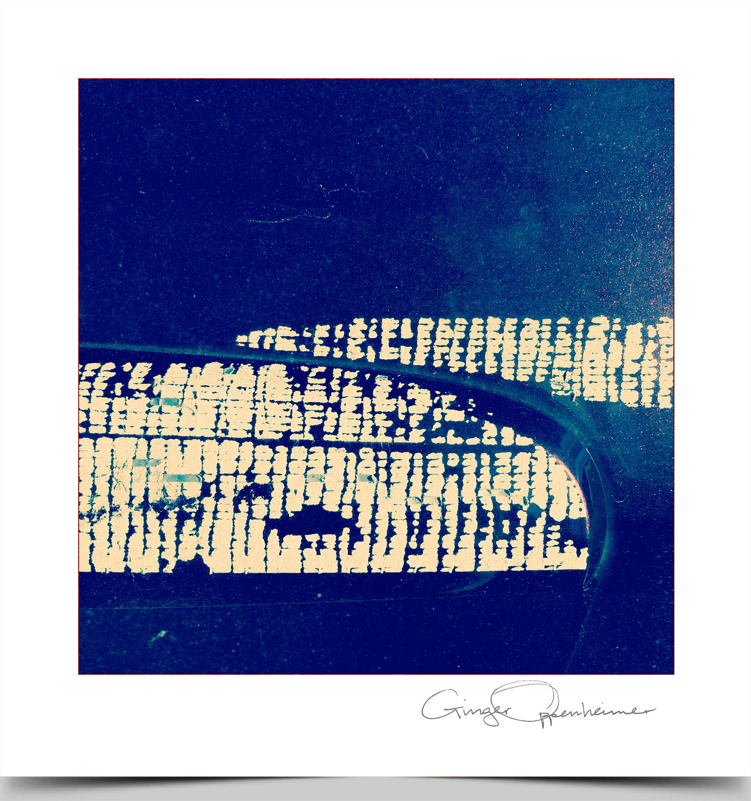 © Ginger Oppenheimer Photography