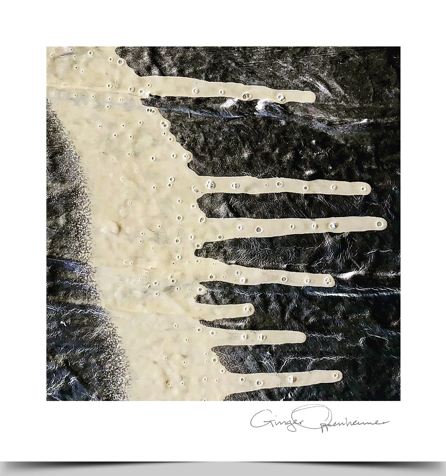 © Ginger Oppenheimer Photography