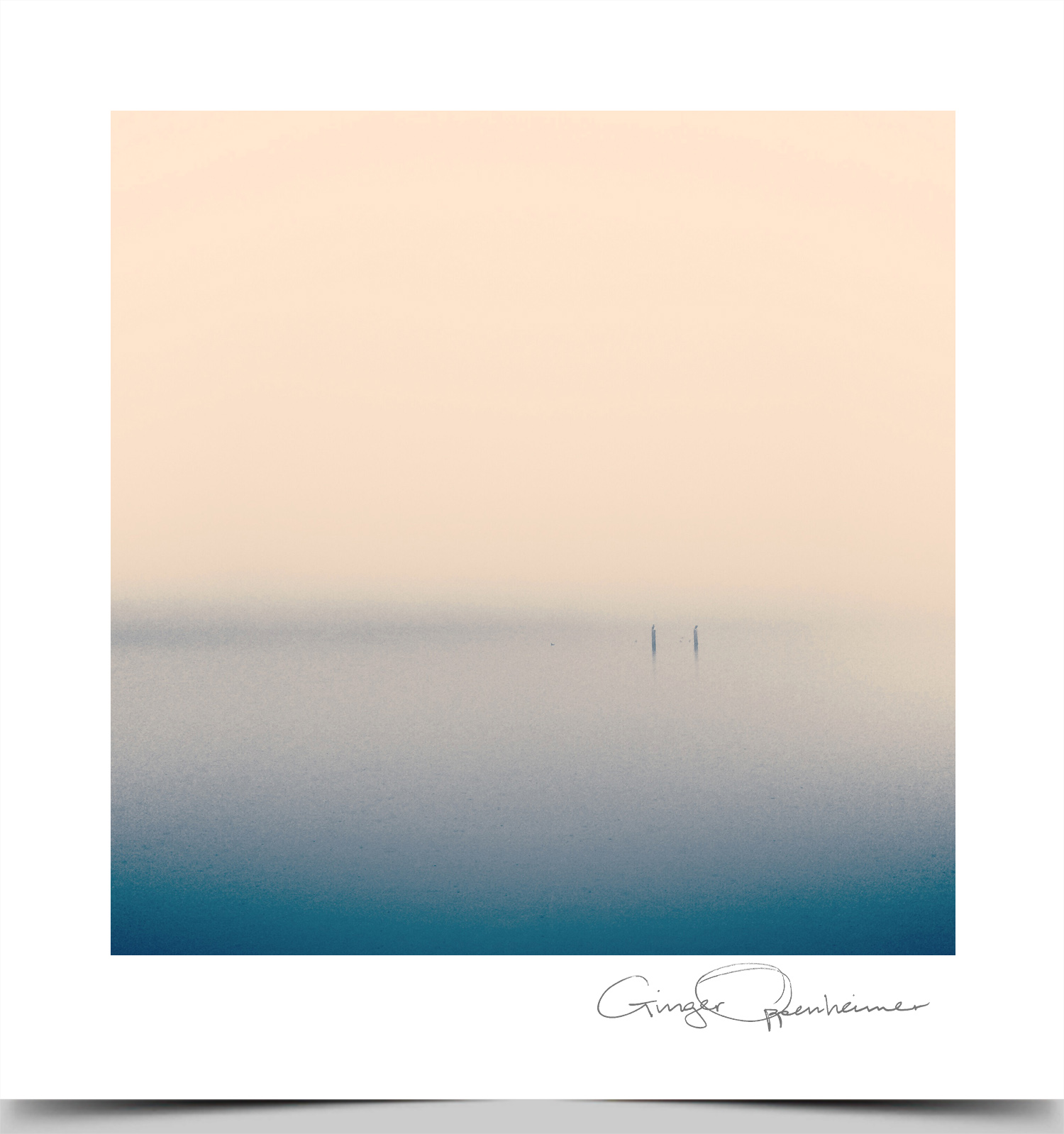 © Ginger Oppenheimer Photography