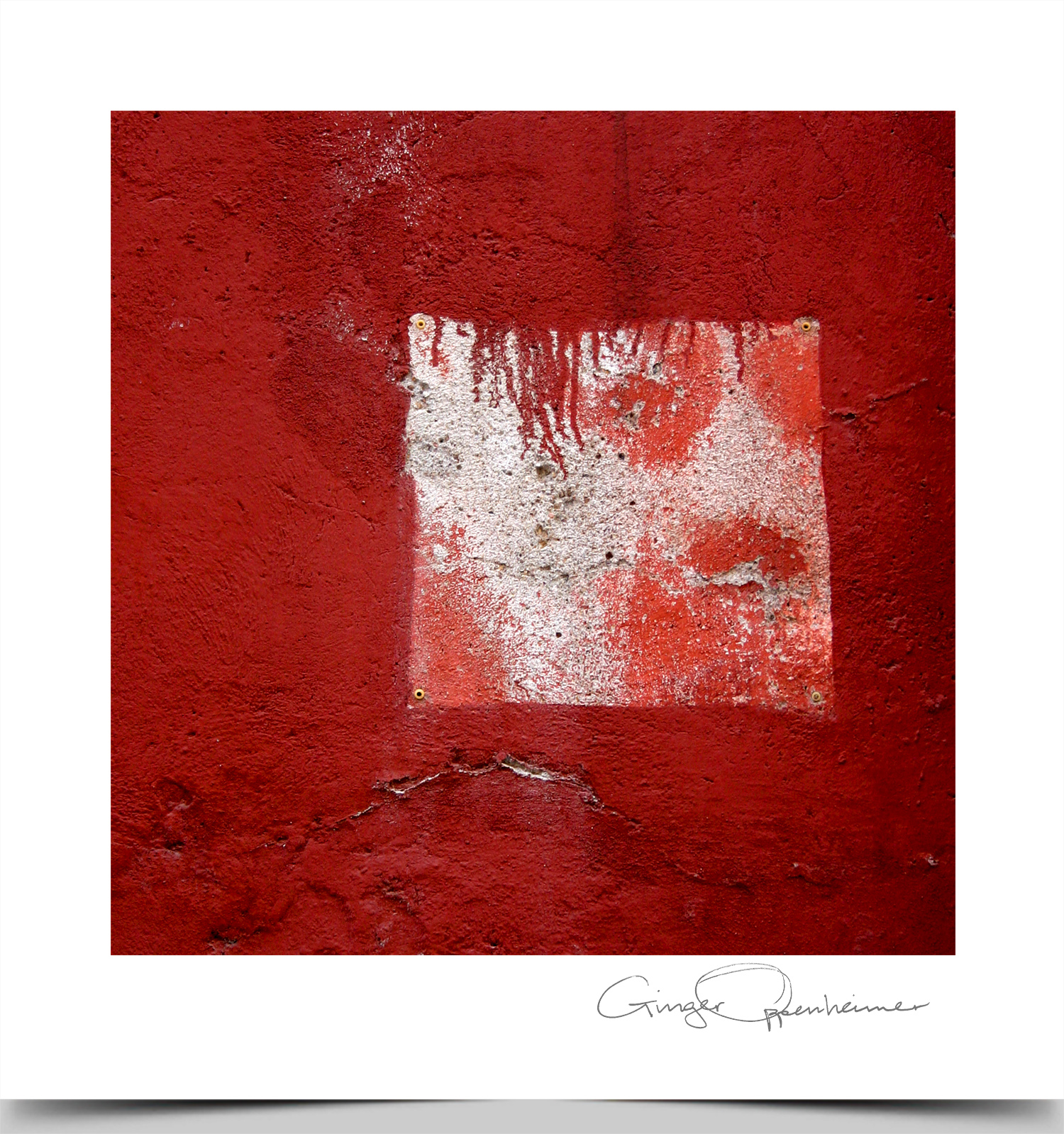 © Ginger Oppenheimer Photography
