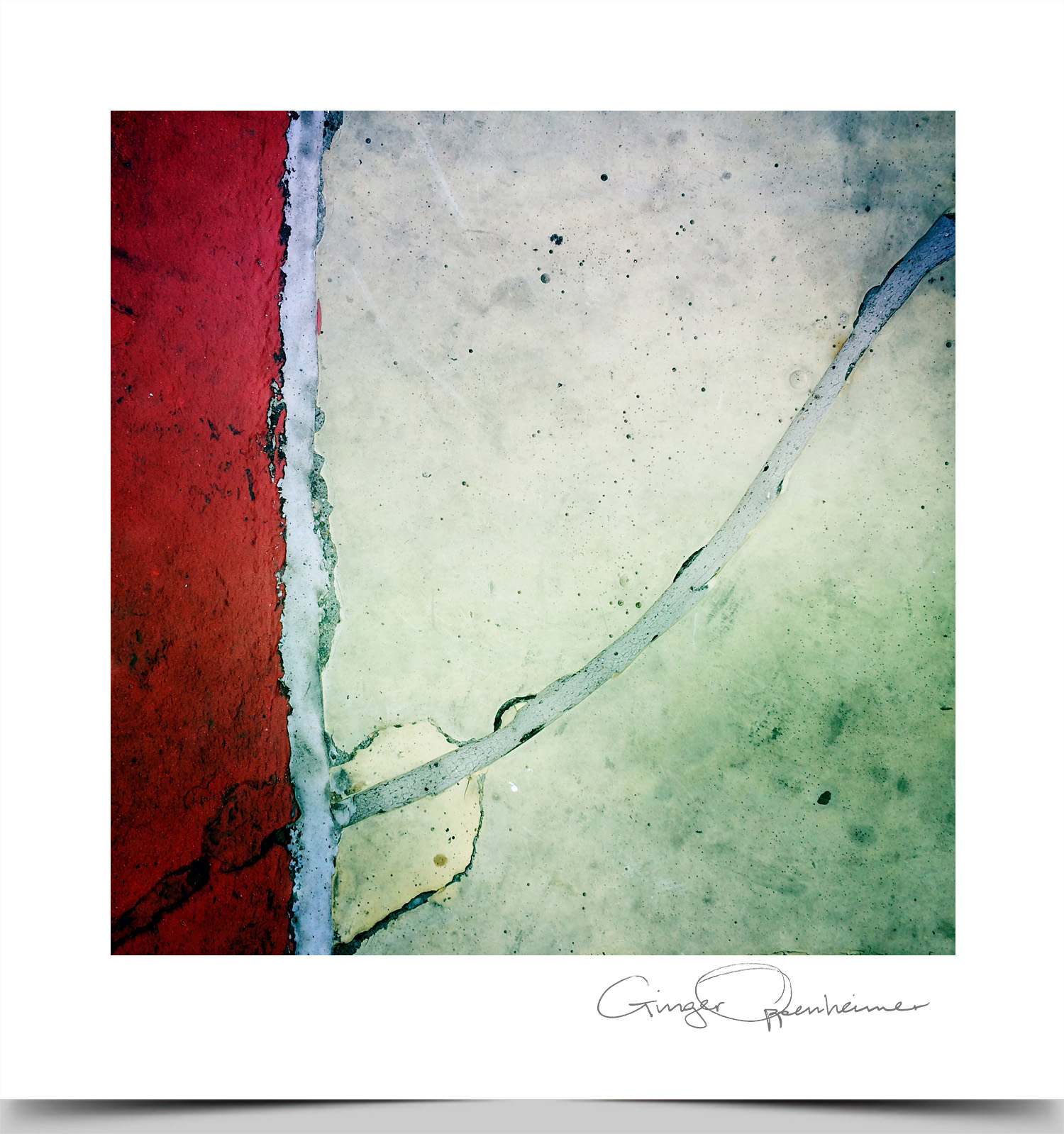 © Ginger Oppenheimer Photography