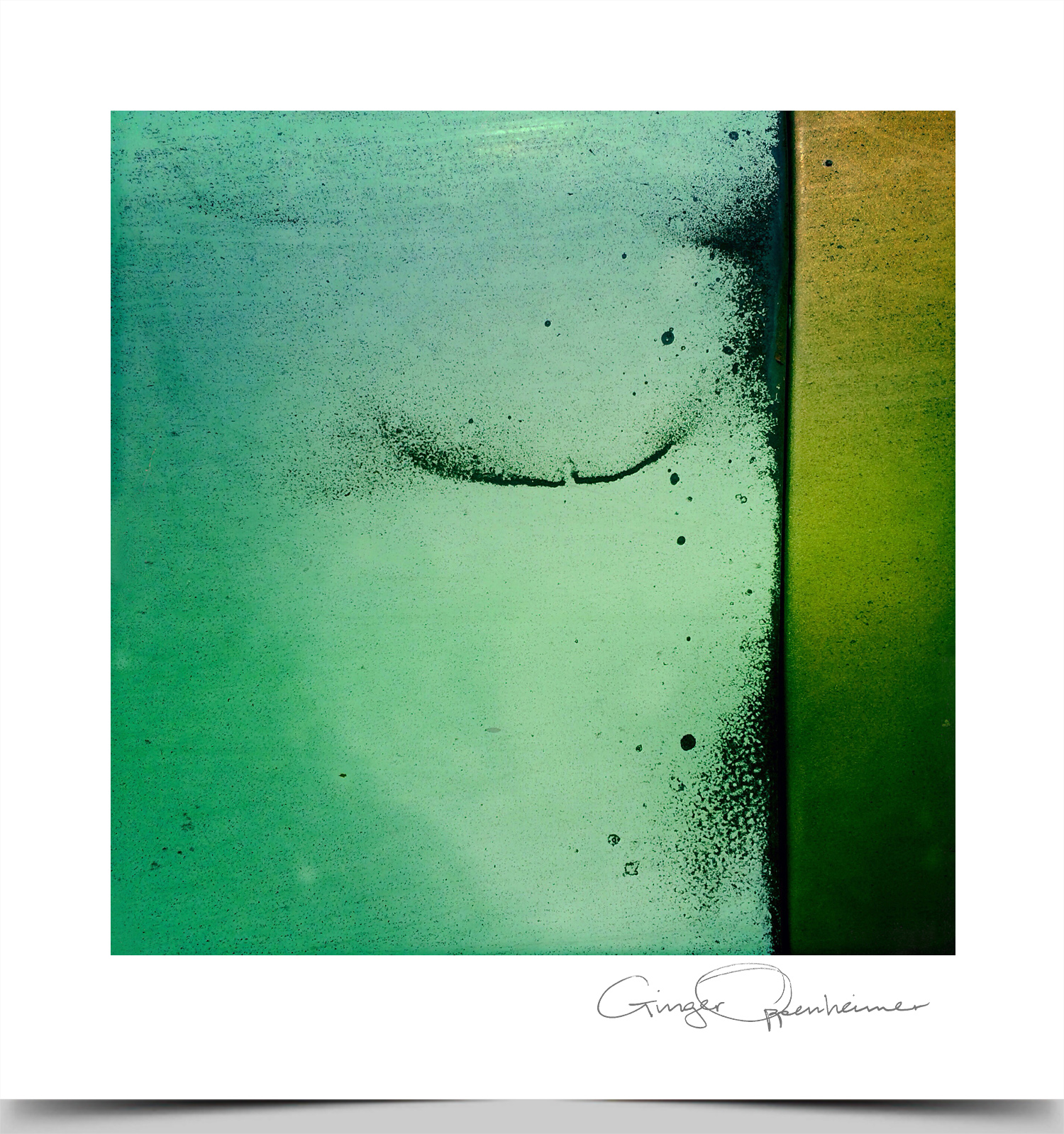 © Ginger Oppenheimer Photography