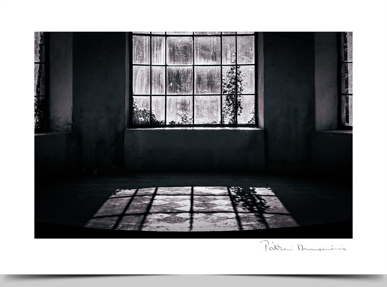 © Annamária Pátkai Photography