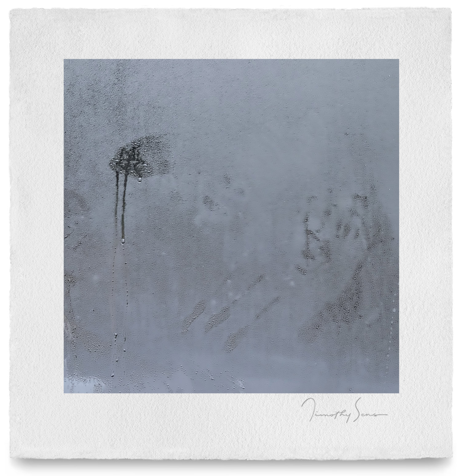 © Timothy Sens, Photographer-timothysens.com