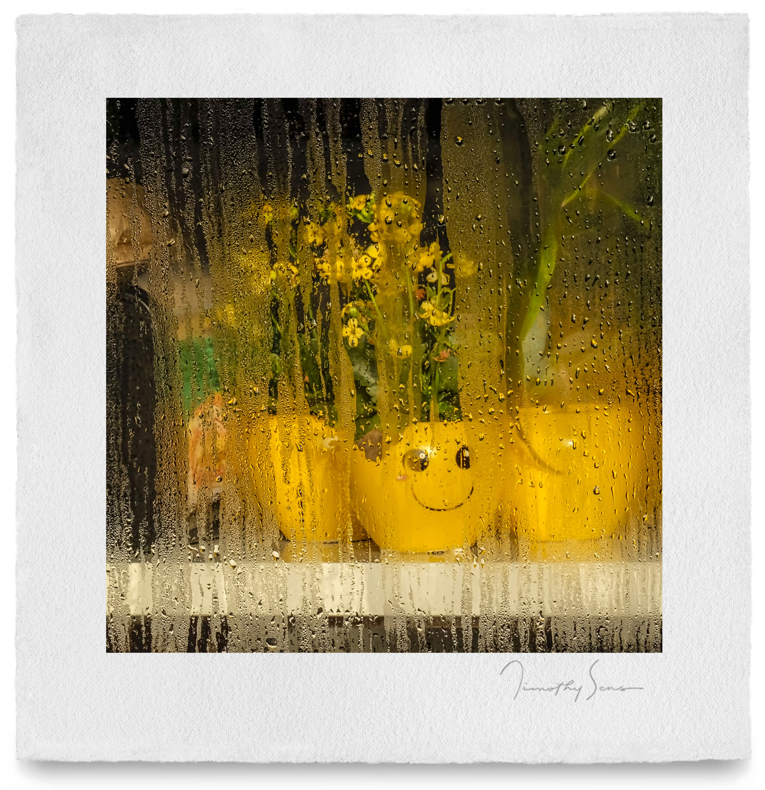 © Timothy Sens, Photographer-timothysens.com