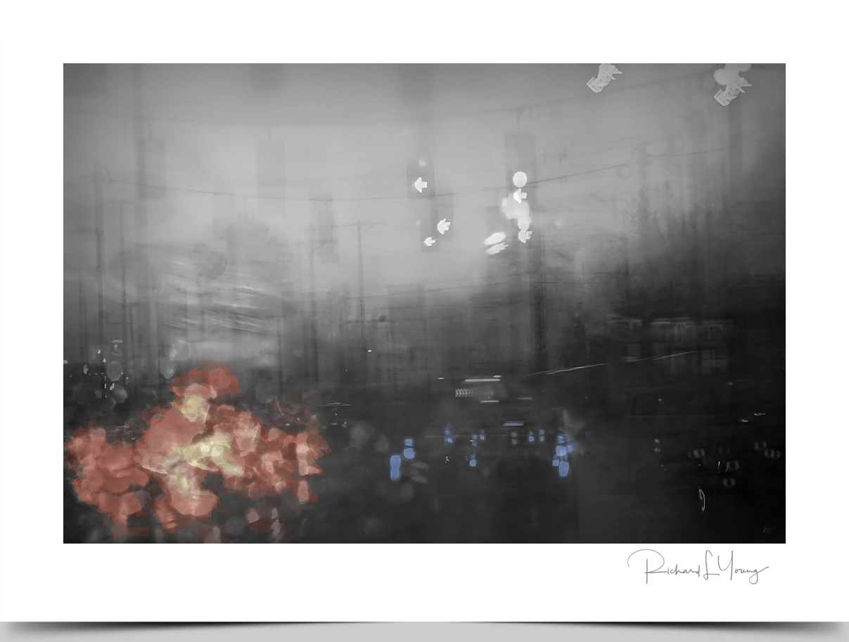 © Richard L. Young Photography