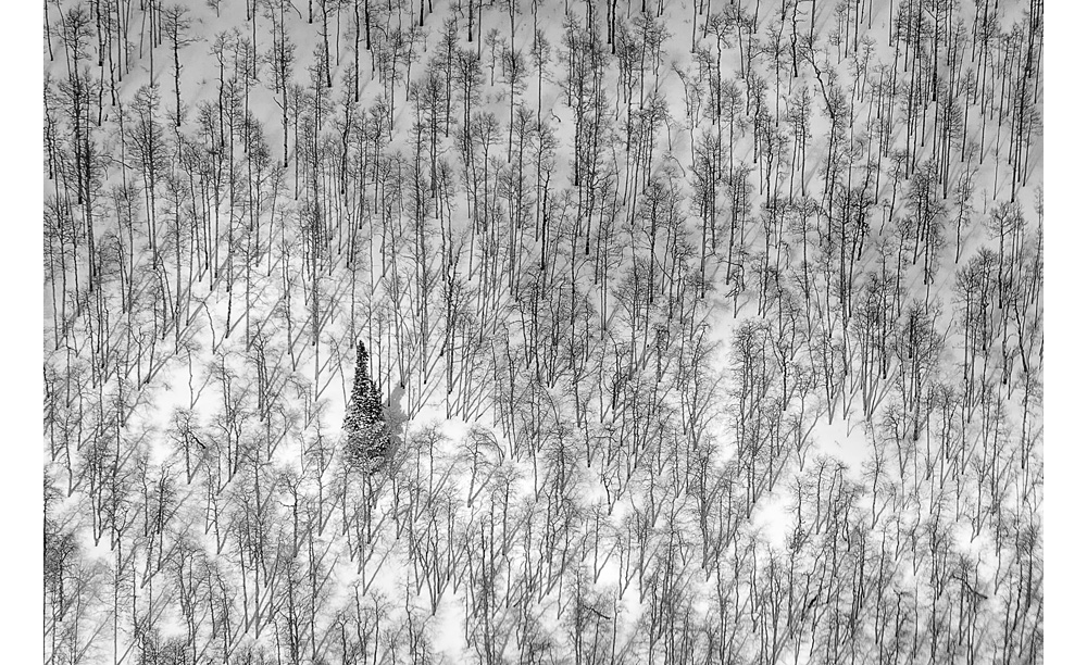 © Steve Zimmermann, Photographer - www.stevezphoto.us/